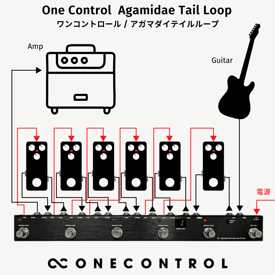 One Control Agamidae Tail Loop