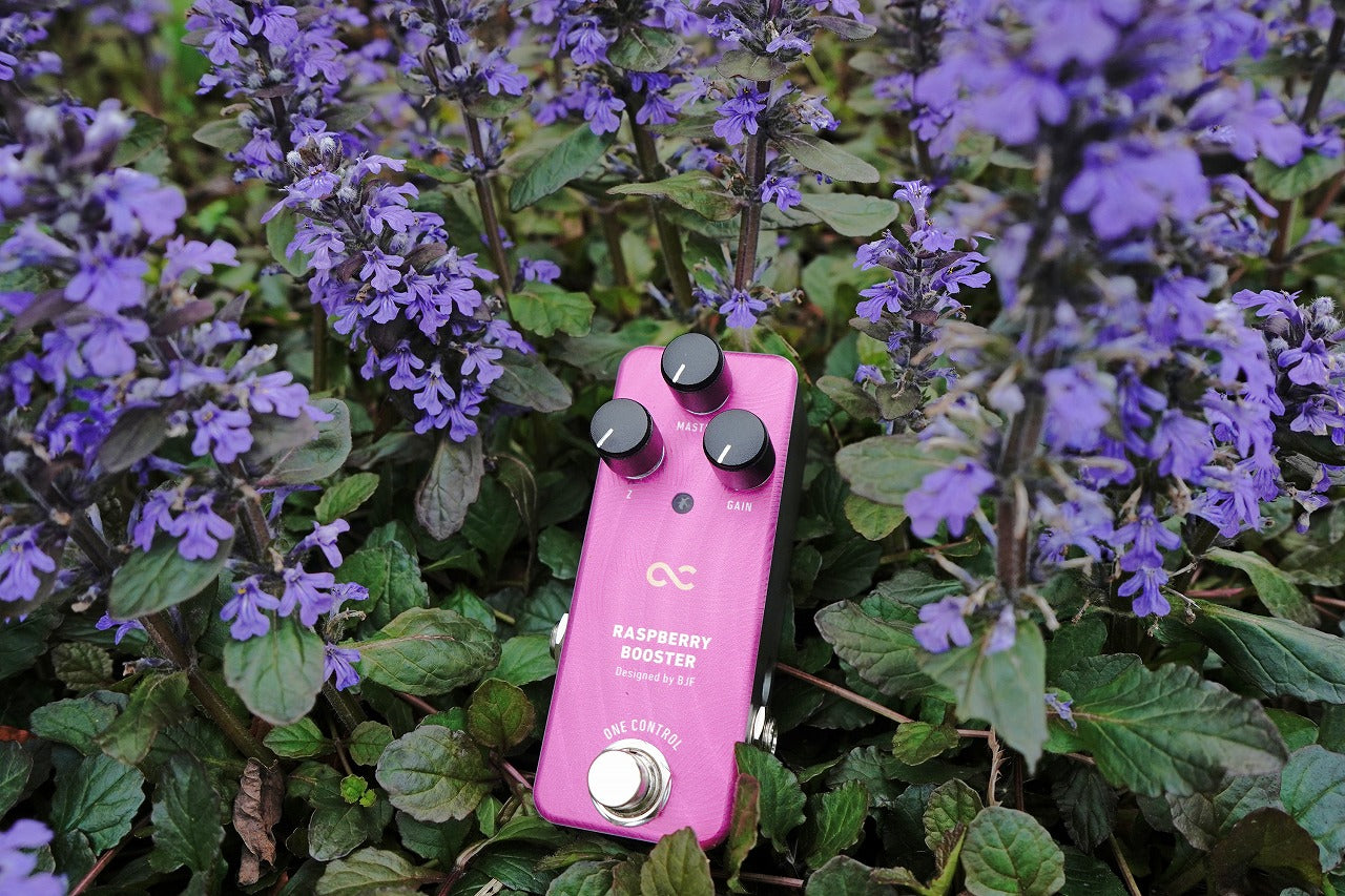One Control RASPBERRY BOOSTER