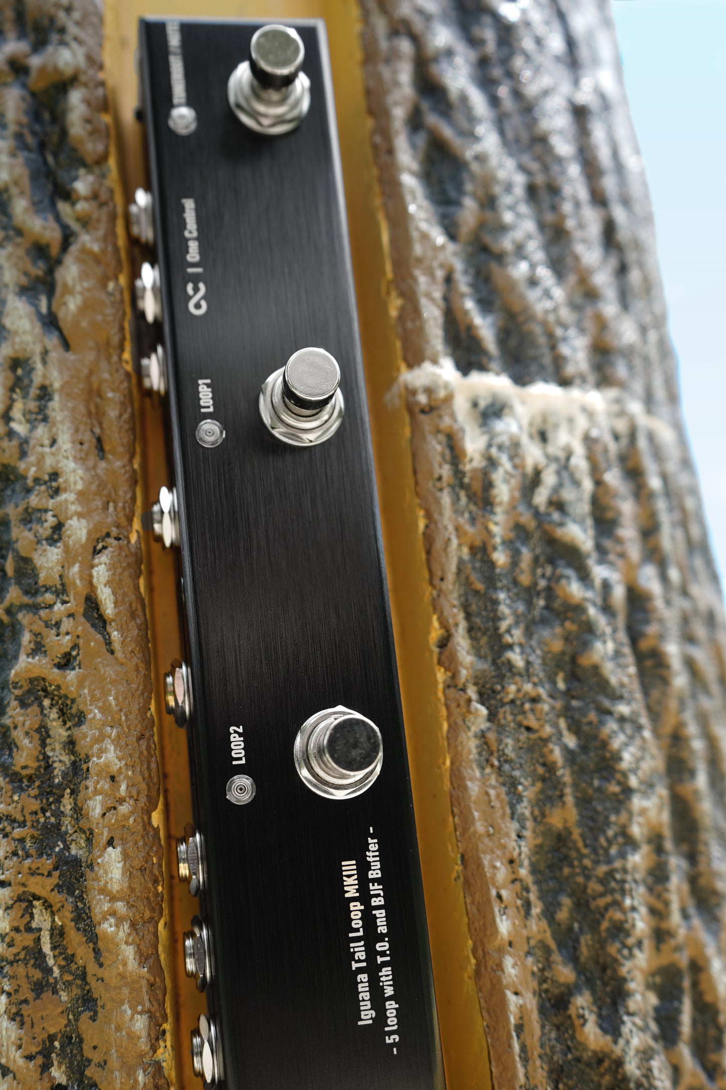 【10/15 16:00まで10%OFF】One Control Iguana Tail Loop MKIII - 5 loop with T.O. and BJF Buffer -