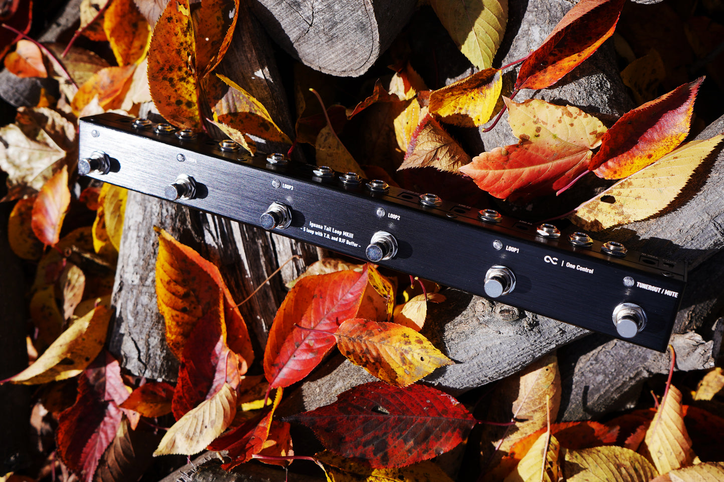 【10/15 16:00まで10%OFF】One Control Iguana Tail Loop MKIII - 5 loop with T.O. and BJF Buffer -