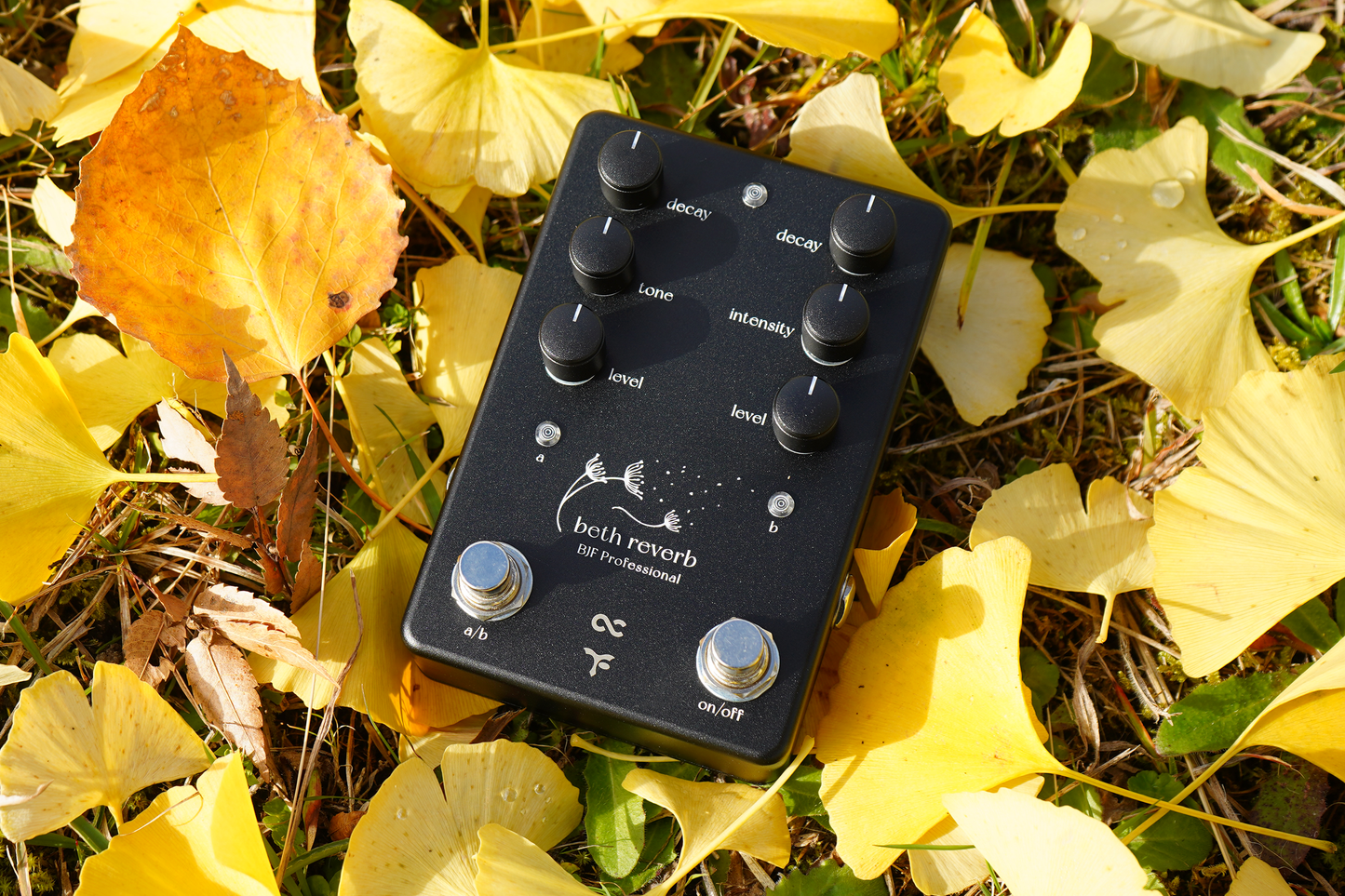 One Control Beth Reverb
