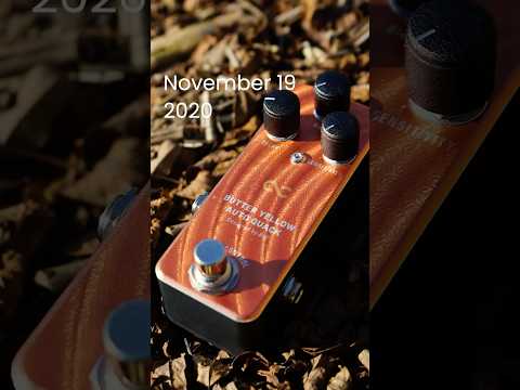 2/5 16:00まで面ファスナー付属!】One Control BUTTER YELLOW AUTO