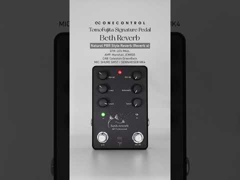One Control Beth Reverb – OneControl