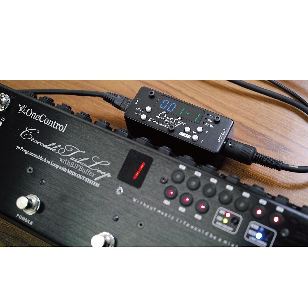 【期間限定10%OFF!】One Control Croc Eye