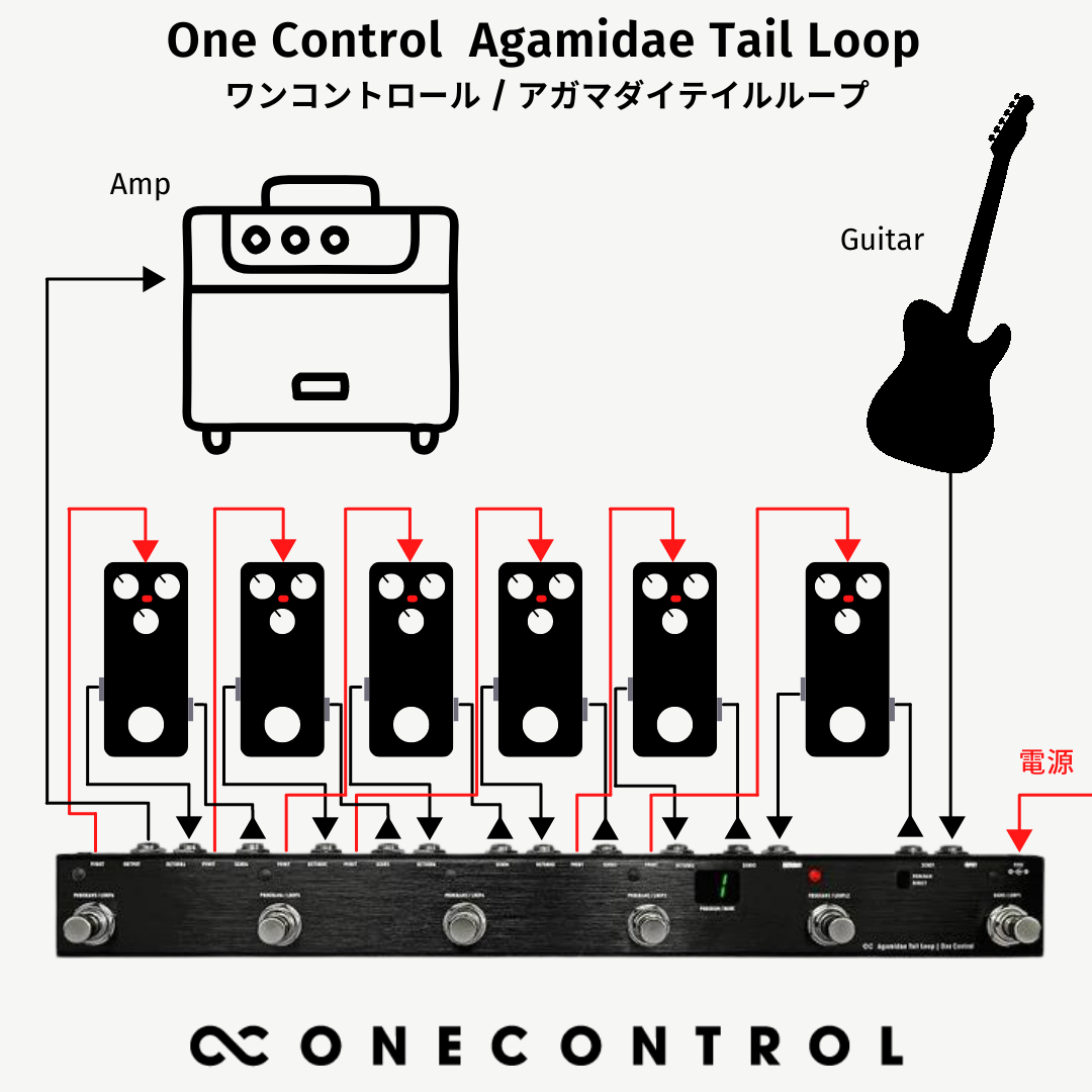 AgamidaeTailLoop.png?v= AgamidaeTailLoop.png?v=