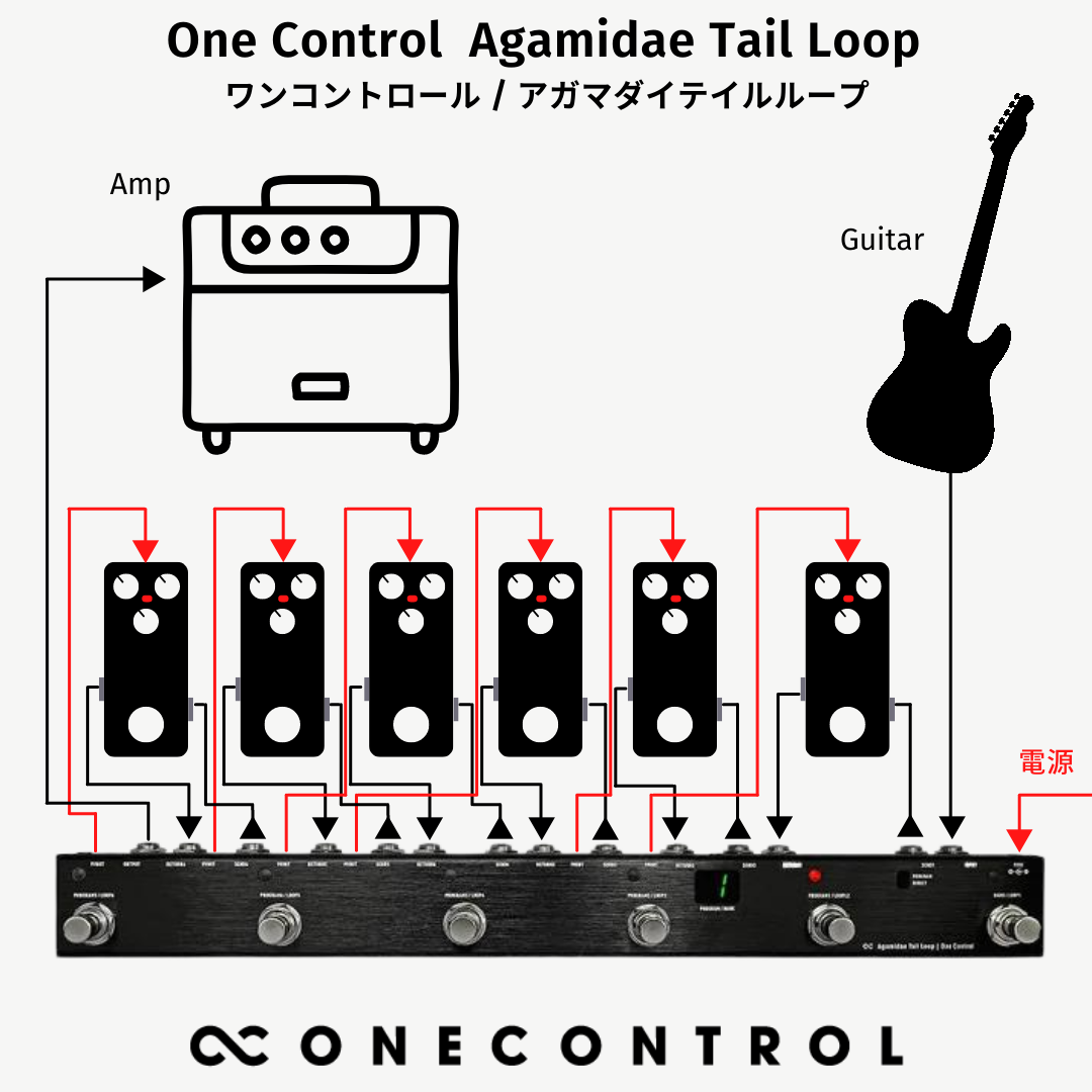 One Control  Agamidae Tail Loop