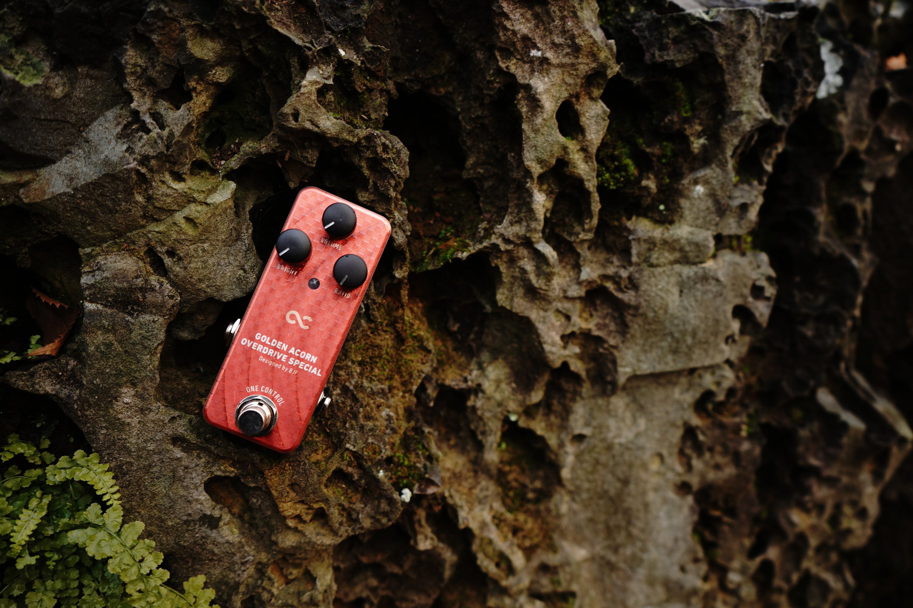 One Control GOLDEN ACORN OVERDRIVE SPECIAL – OneControl