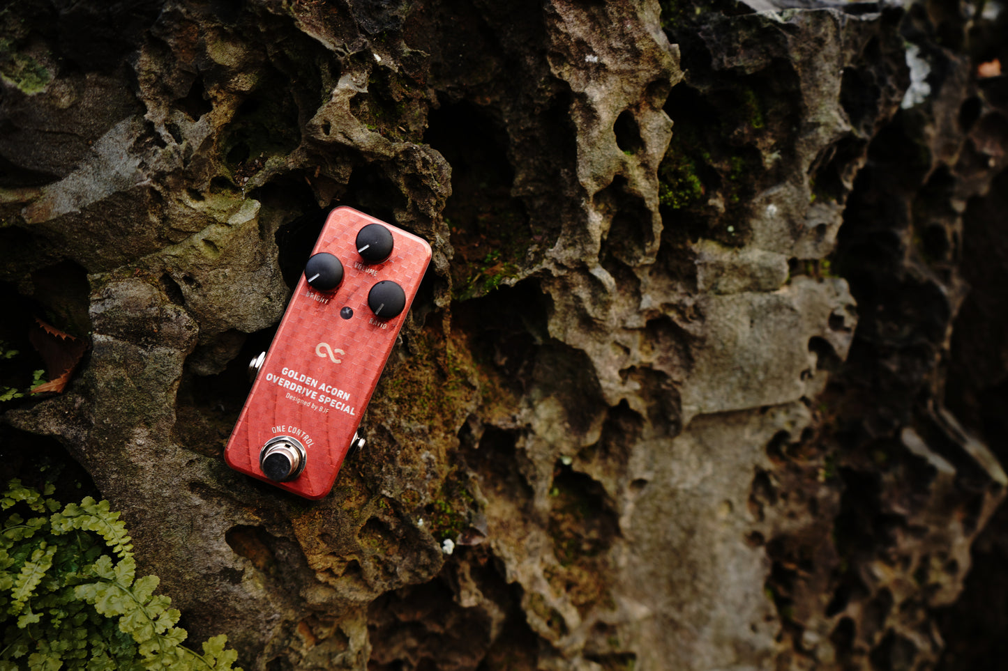 One Control GOLDEN ACORN OVERDRIVE SPECIAL